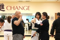 Martial Arts Studio Class