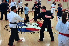 Martial Arts Weapons Training