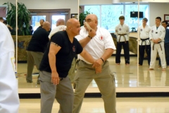 Self Defense Martial Arts