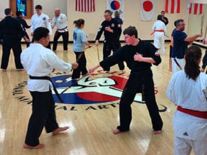Martial Arts Weapons Training