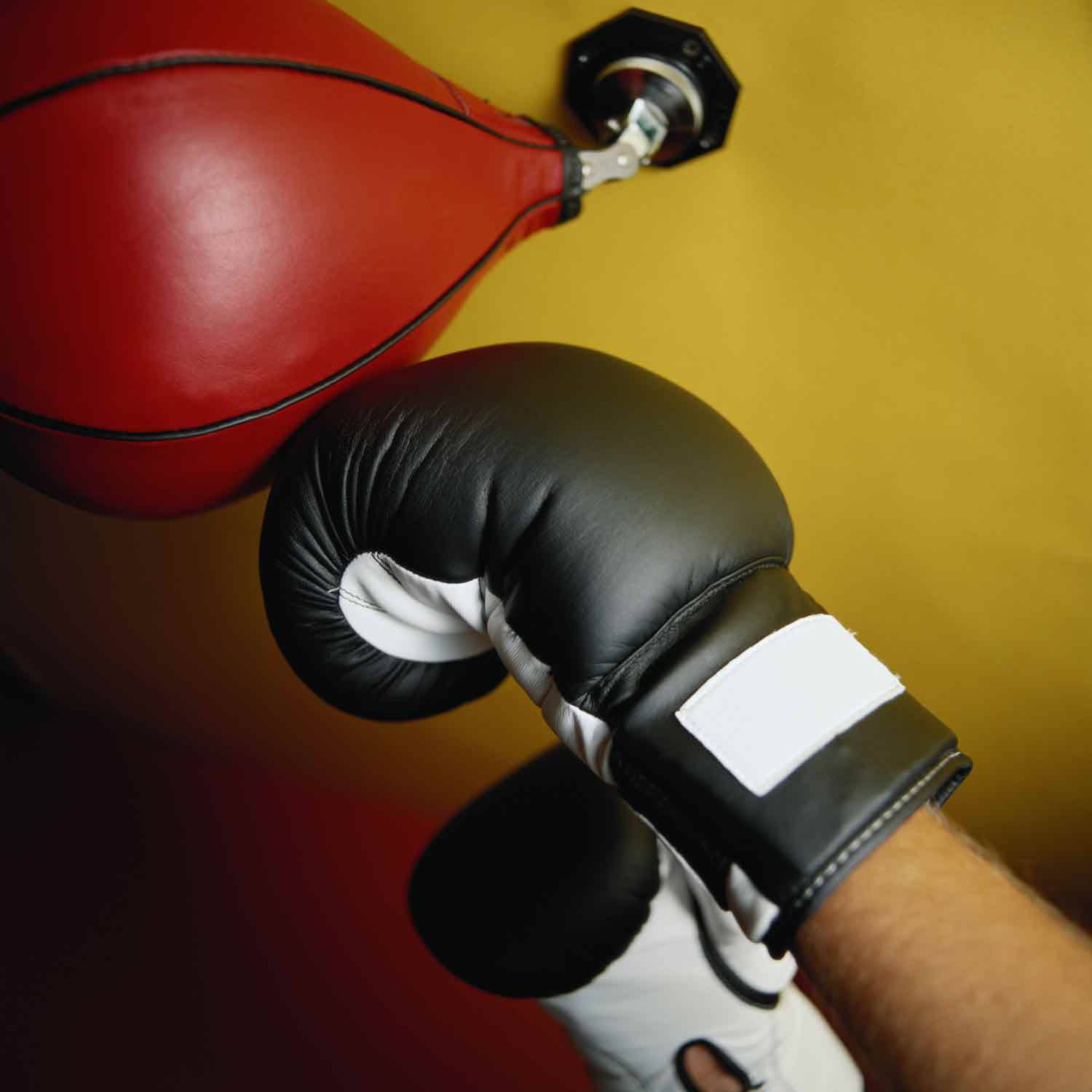 Kick Boxing Racicot Why You Should Take Up Kickboxing | Richmond Traditional Martial Arts